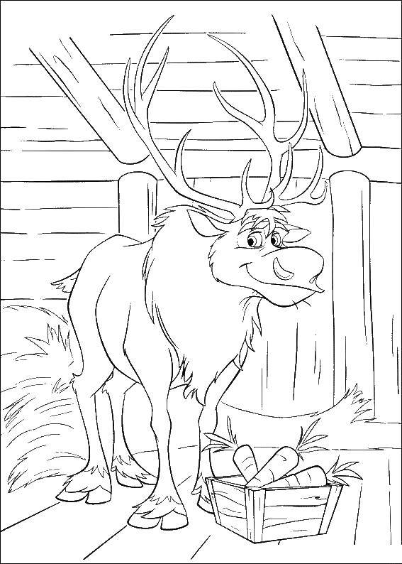 Coloring Moose in the barn. Category Animals. Tags:  animals, elk, deer.