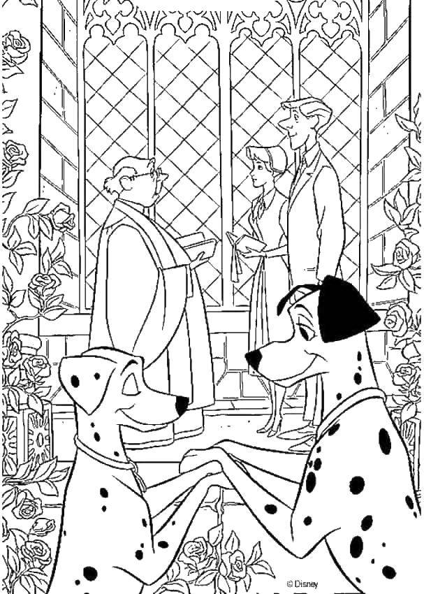 Coloring Wedding Dalmatians. Category Disney cartoons. Tags:  That 101, Dalmatians, wedding.