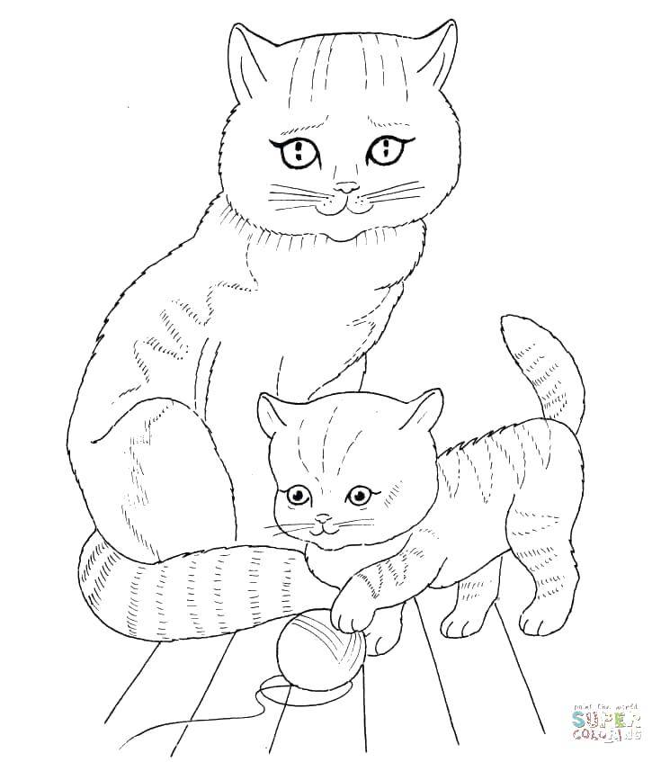 Название: Раскраска Мама кошка с котёнком. Категория: животные. Теги: Животные, котёнок, кошка.