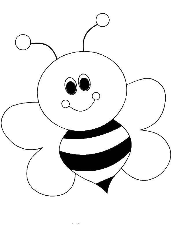Название: Раскраска Милая пчелка. Категория: Насекомые. Теги: насекомые, пчела, пчелка.