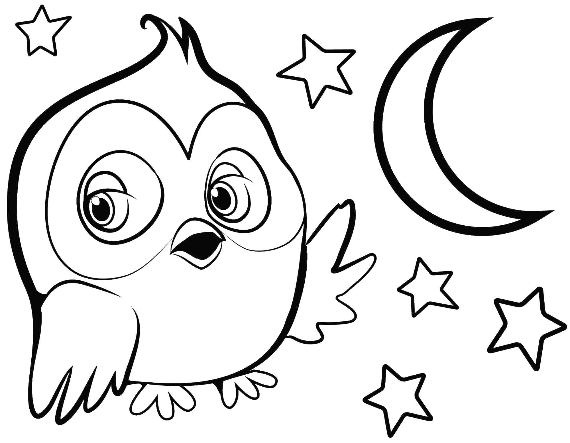 Coloring Owl. Category birds. Tags:  owl.