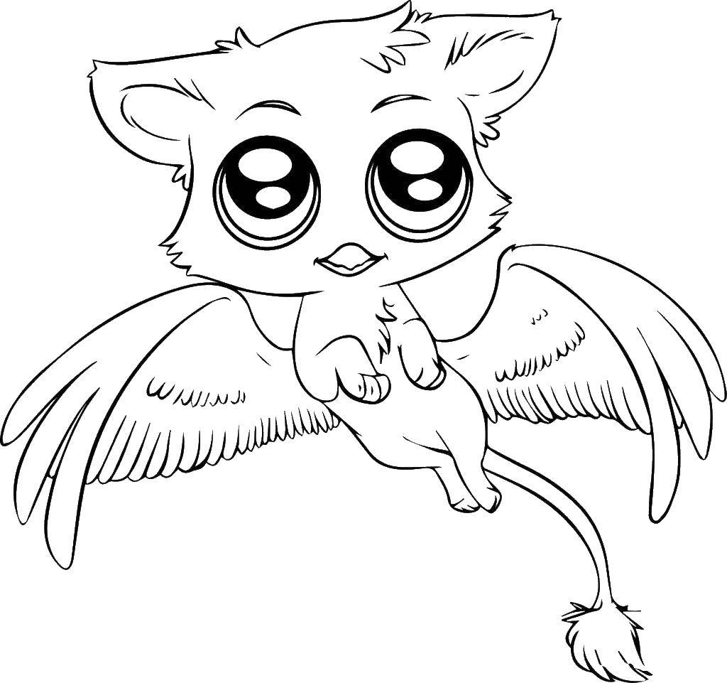 Coloring Cute animal. Category animals. Tags:  animals, animal, wings.