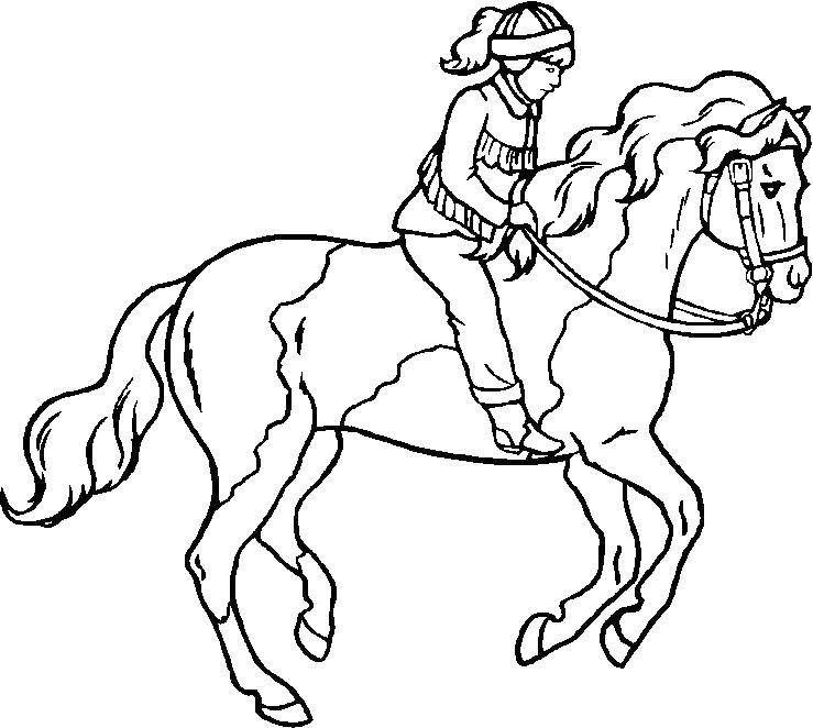 Coloring Rider. Category Animals. Tags:  Animals, horse.