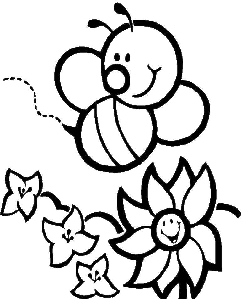 Название: Раскраска Пчелка и цветы. Категория: Насекомые. Теги: насекомые, пчела, пчелка.