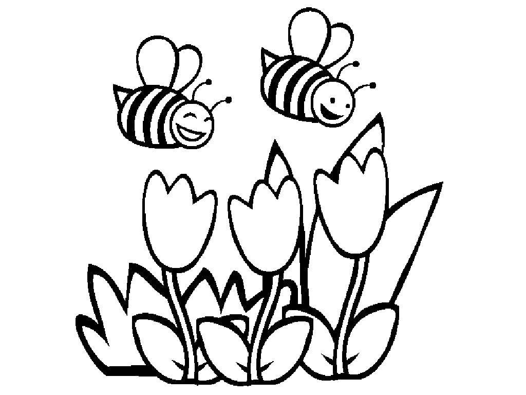 Название: Раскраска Пчелки летят над цветочками. Категория: Насекомые. Теги: насекомые, пчела, пчелка.