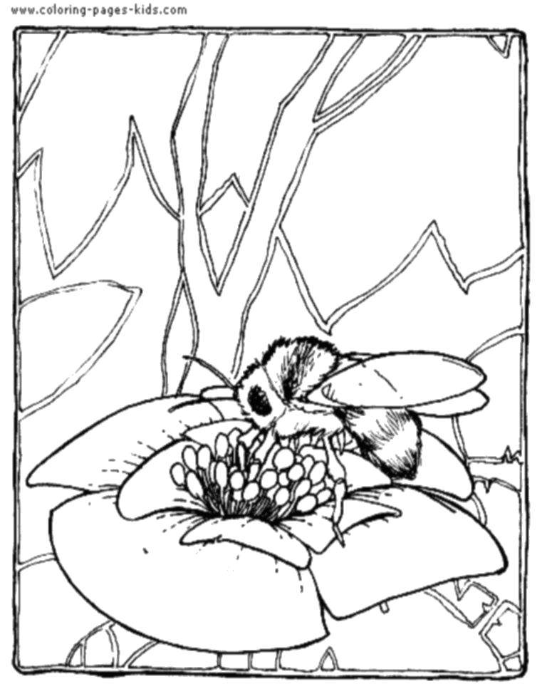 Название: Раскраска Пчёлка на цветке. Категория: насекомые. Теги: Насекомые, пчёлка.