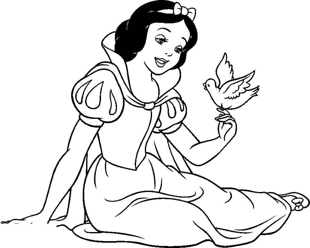 Coloring Snow white holds a bird. Category Princess. Tags:  Snow white.