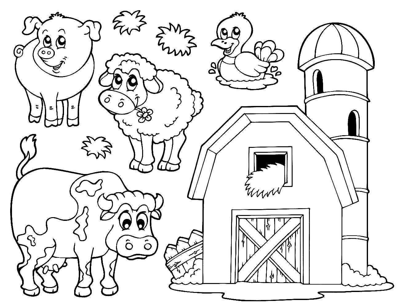 Coloring Livestock. Category animals. Tags:  Animals.