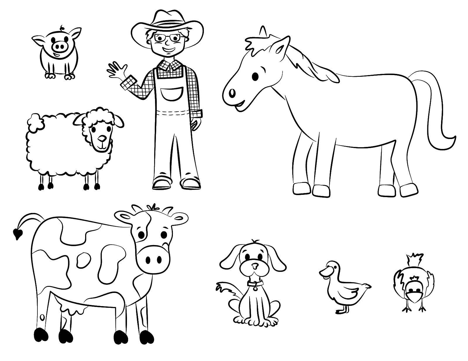 Название: Раскраска Фермер с домашними животными. Категория: животные. Теги: фермер, животные.