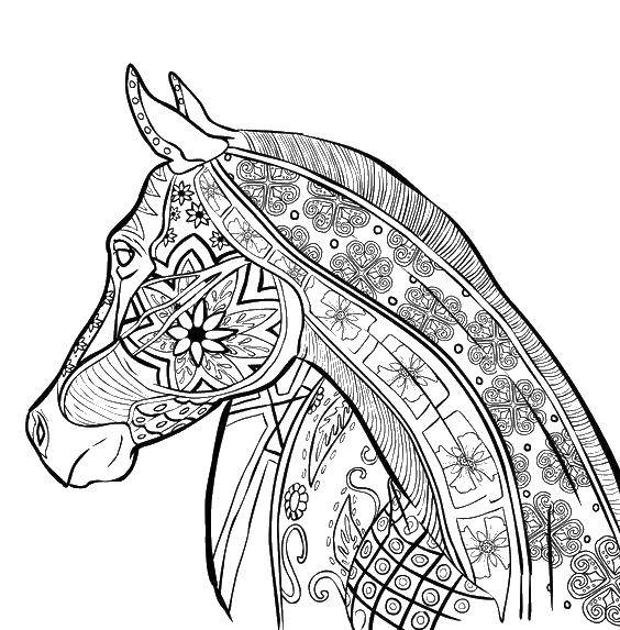 Coloring Horse. Category Bathroom with shower. Tags:  antisress, patterns, figures, horse.