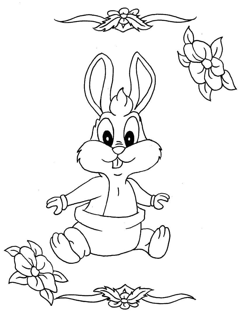Coloring Baby Bunny. Category animals. Tags:  Animals, Bunny.