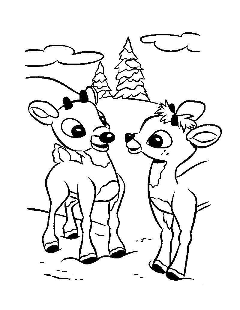 Coloring Calves. Category animals. Tags:  Animals, deer.