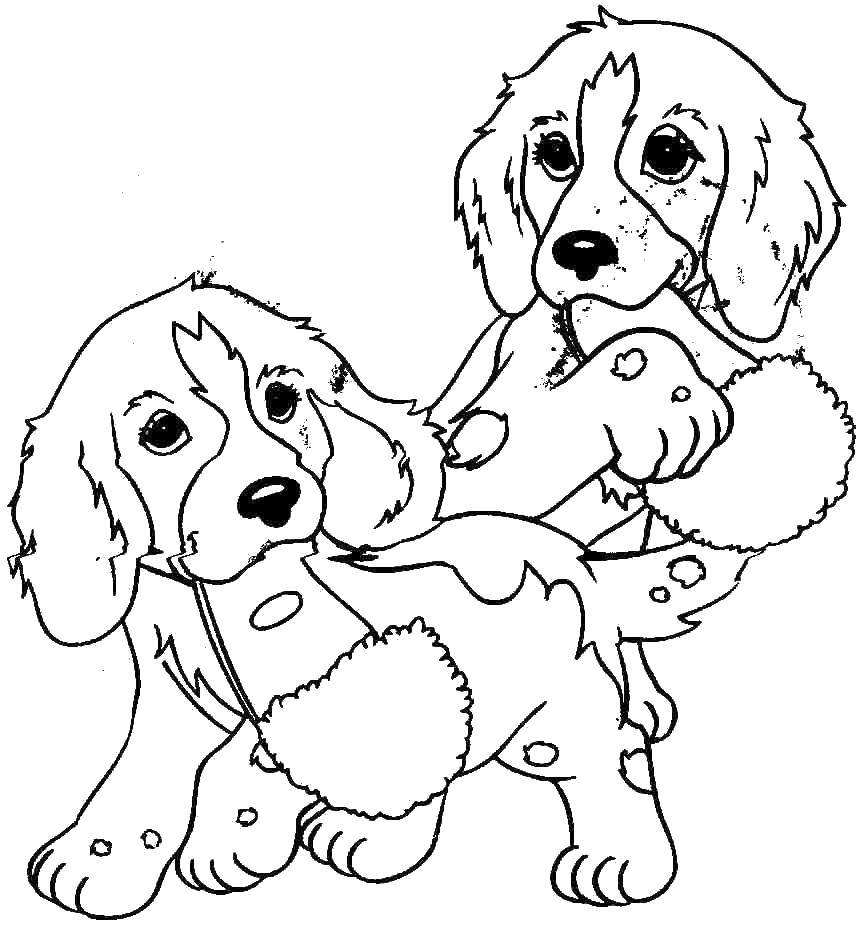 Coloring Puppies playing with Slippers. Category animals. Tags:  Animals, dog.