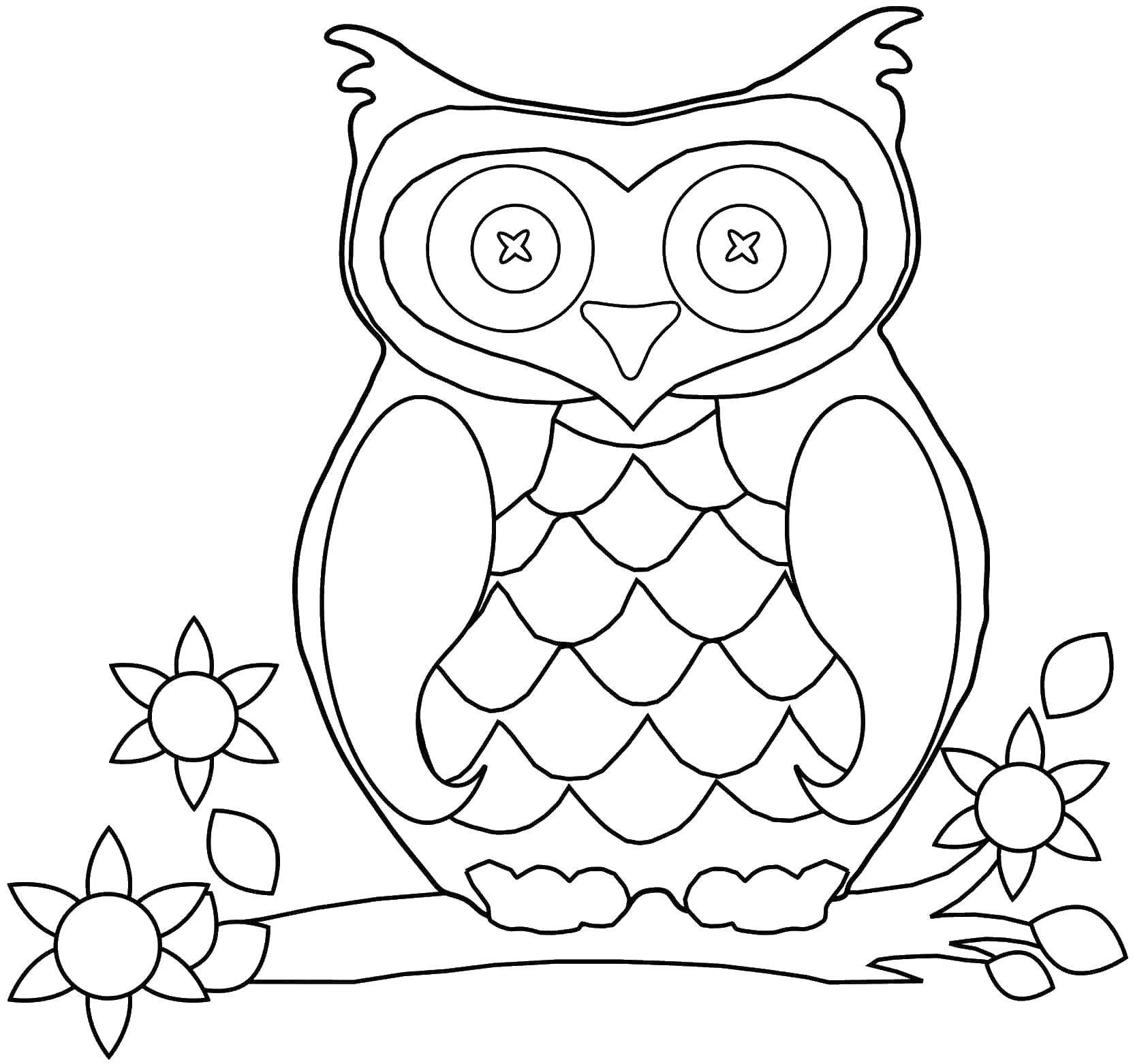 Coloring Owl. Category birds. Tags:  owl.