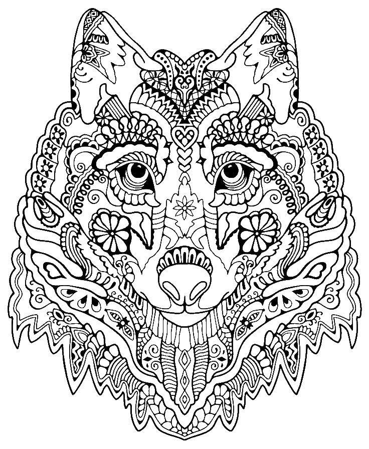 Coloring Wolf. Category coloring antistress. Tags:  wolf , antistress.