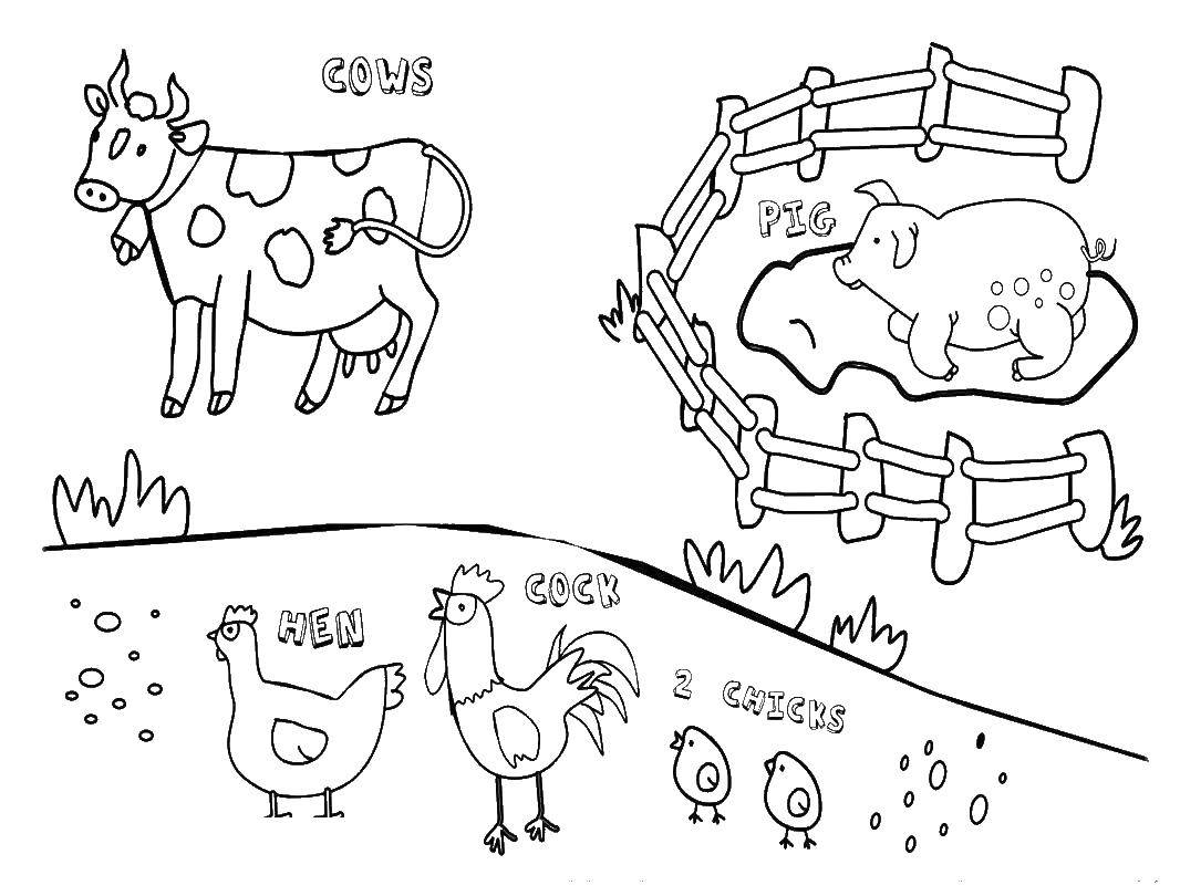 Название: Раскраска Ферма с животными. Категория: животные. Теги: ферма, животные, английский.