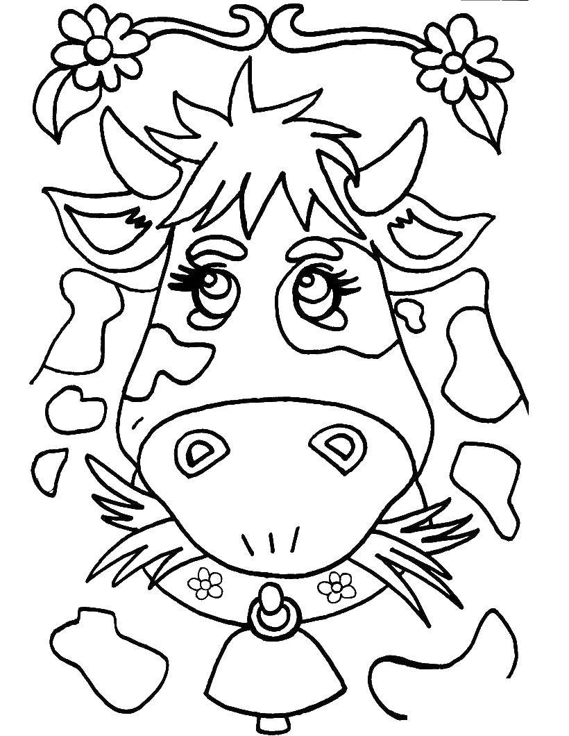 Coloring Cow with bell chewing grass. Category animals. Tags:  Animals, cow.