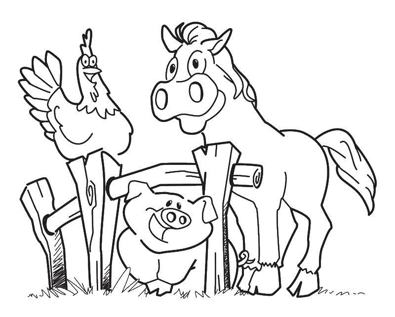 Название: Раскраска Лошадка, свинка и петушок. Категория: животные. Теги: животные, лошадь, петух, свинка.