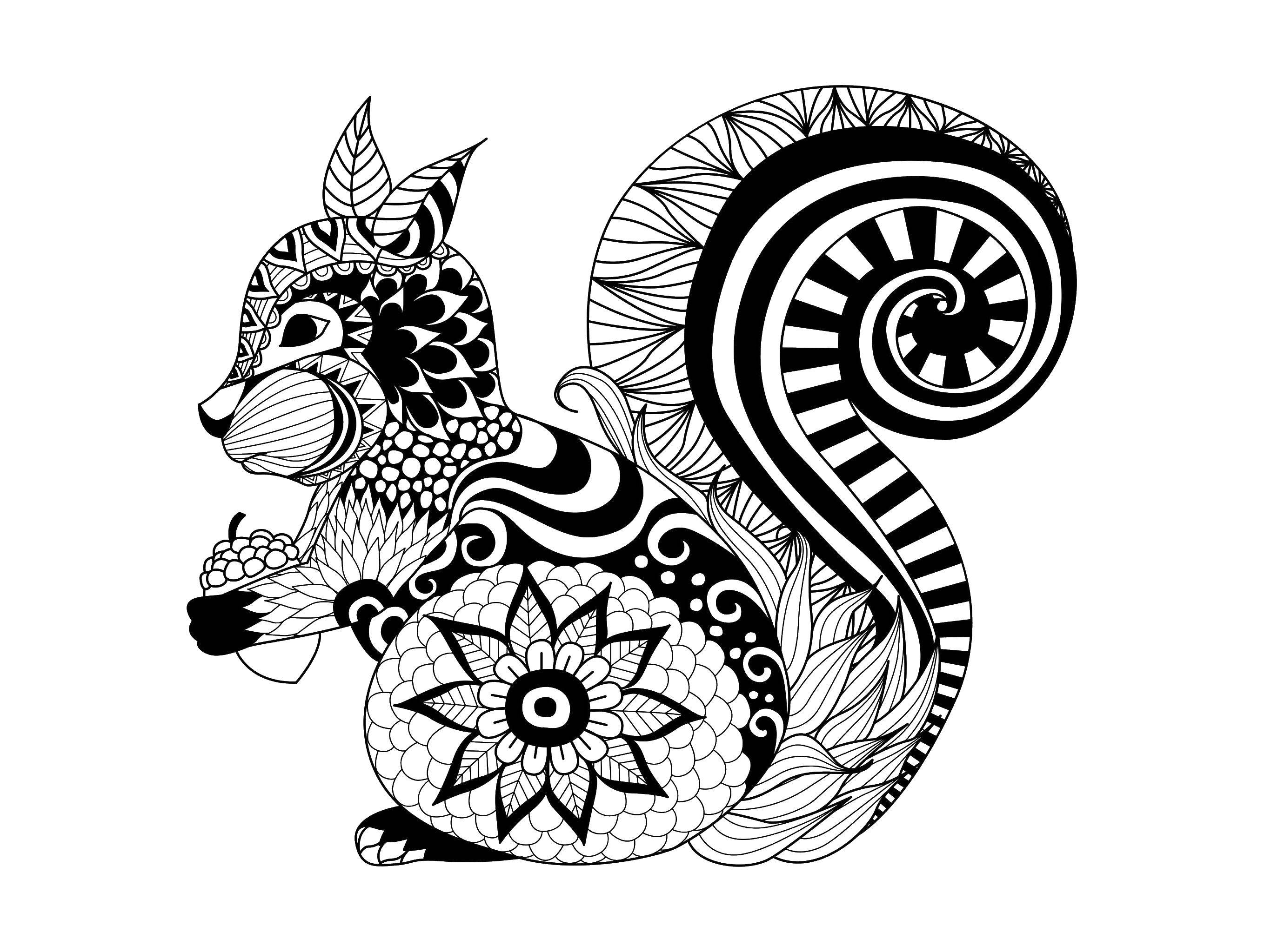 Coloring Patterned squirrel with nut. Category animals. Tags:  Animals, squirrel.