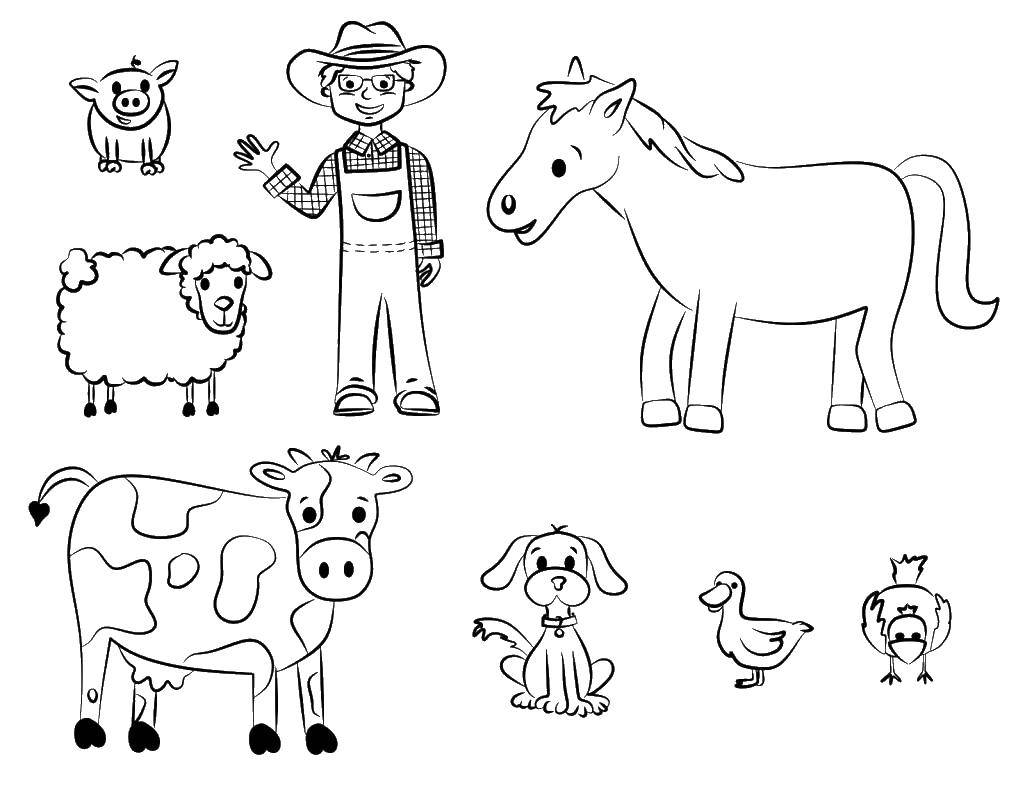 Coloring Farmer and animals. Category animals. Tags:  animal, animals, farm.