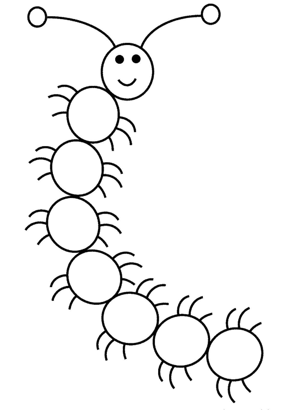 Название: Раскраска Гусеница. Категория: Насекомые. Теги: гусеницы, жуки.