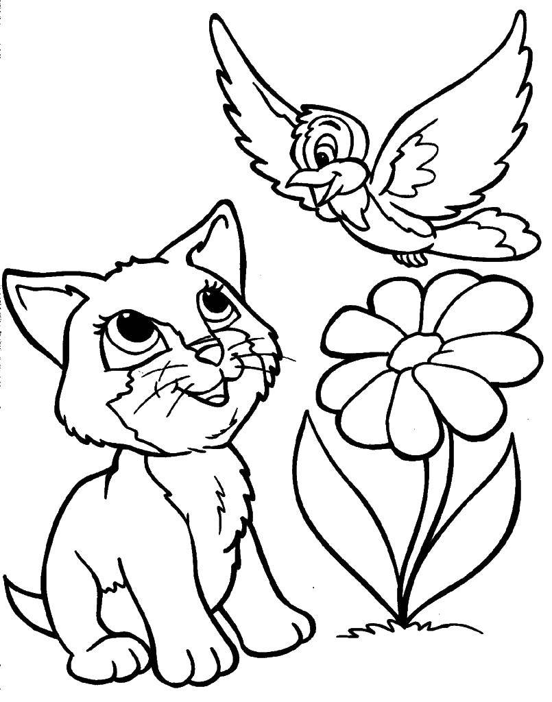 Coloring Kitten and bird. Category animals. Tags:  animals, kitten, cat, bird.