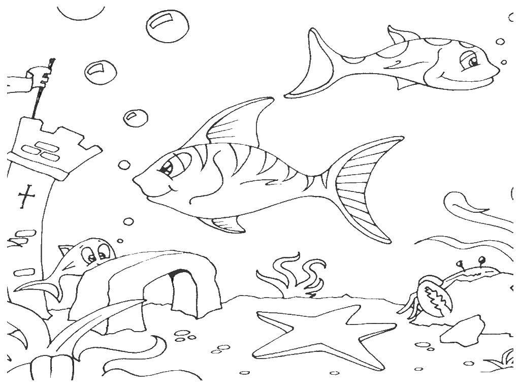 Coloring Underwater world. Category sea animals. Tags:  sea, water, fish, marine animals.