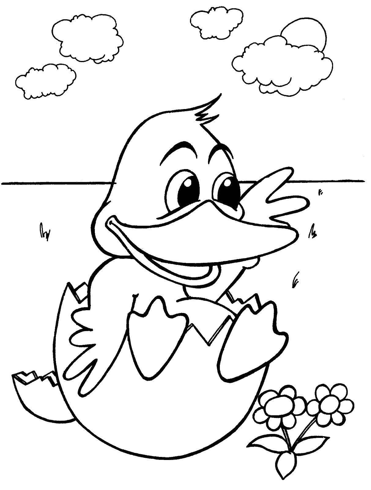 Coloring Duck. Category animals. Tags:  animals, duck, duckling.