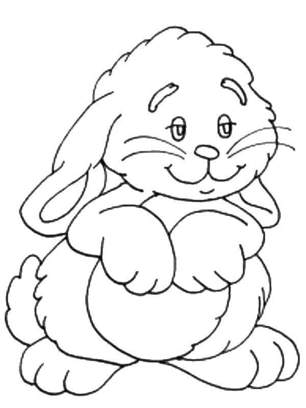 Coloring Bunny. Category animals. Tags:  animals, rabbit.