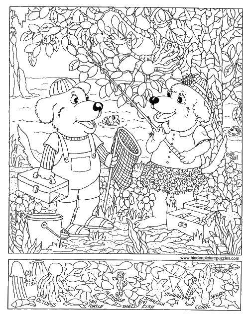 Coloring Find the hidden objects.. Category Find items. Tags:  the items, found objects, image.