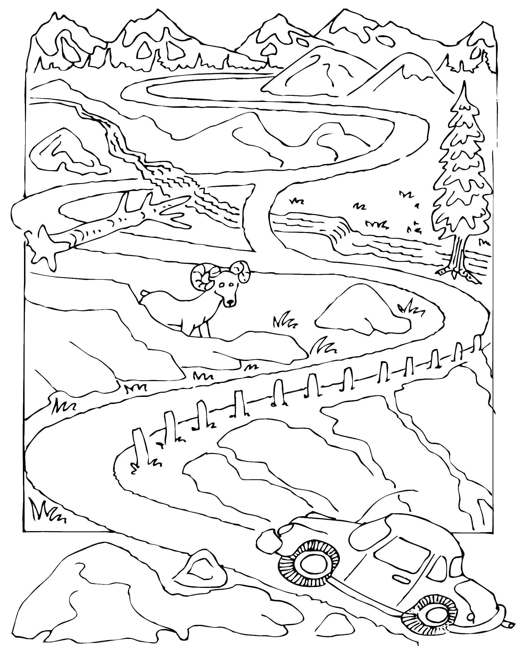 Coloring Maze. Category Mazes. Tags:  maze, nature.