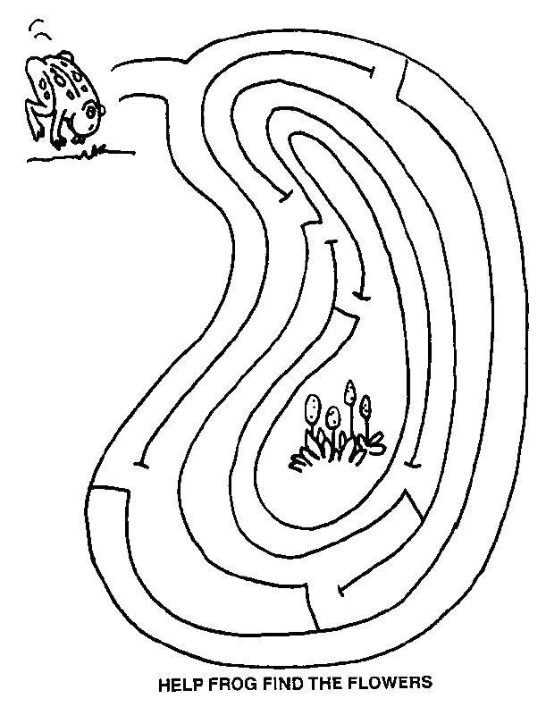 Coloring The frog in the maze. Category Mazes. Tags:  maze, frog.