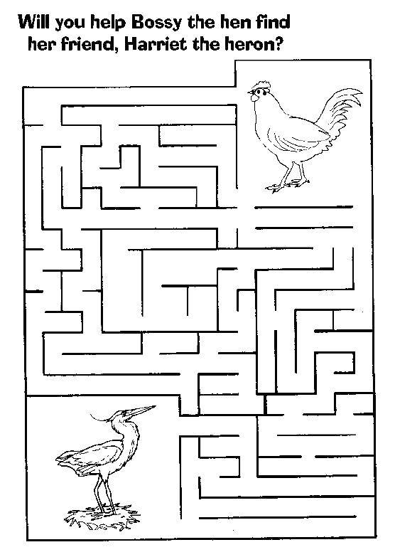 Coloring Cock looking for a Heron. Category Mazes. Tags:  maze, chicken.