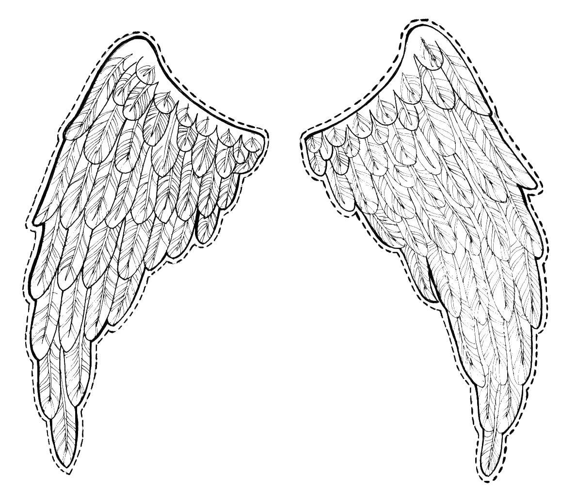 Coloring Wings. Category angels. Tags:  angel, wings.