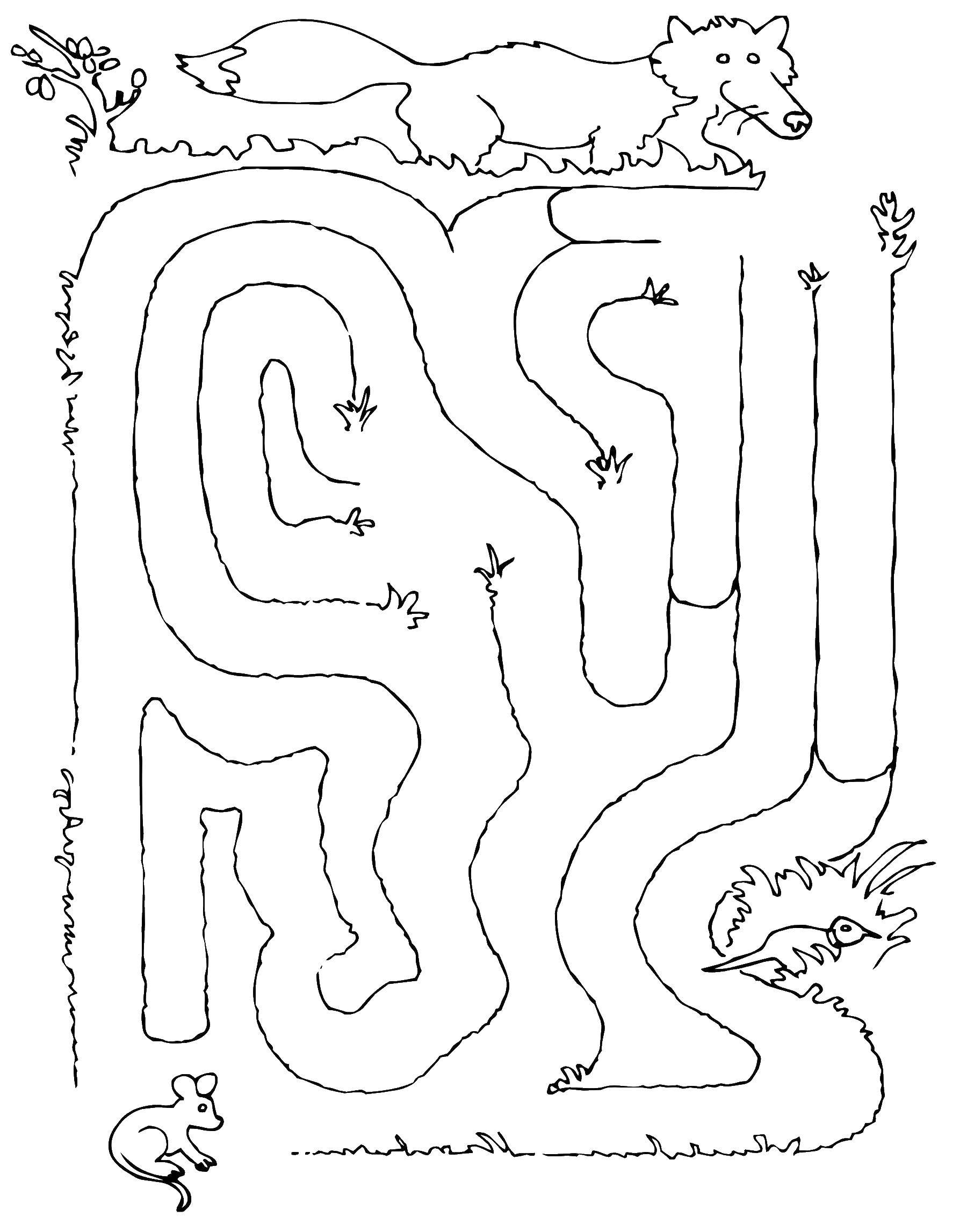 Coloring Fox hunts. Category Mazes. Tags:  the labyrinth, Fox.