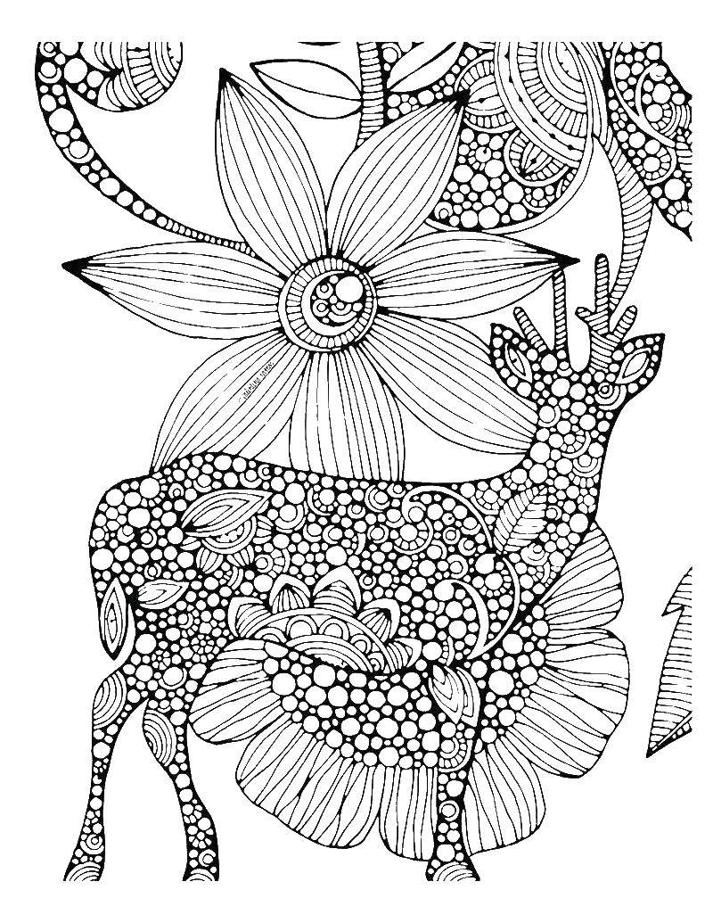 Coloring Deer. Category coloring antistress. Tags:  reindeer coloring antistress.