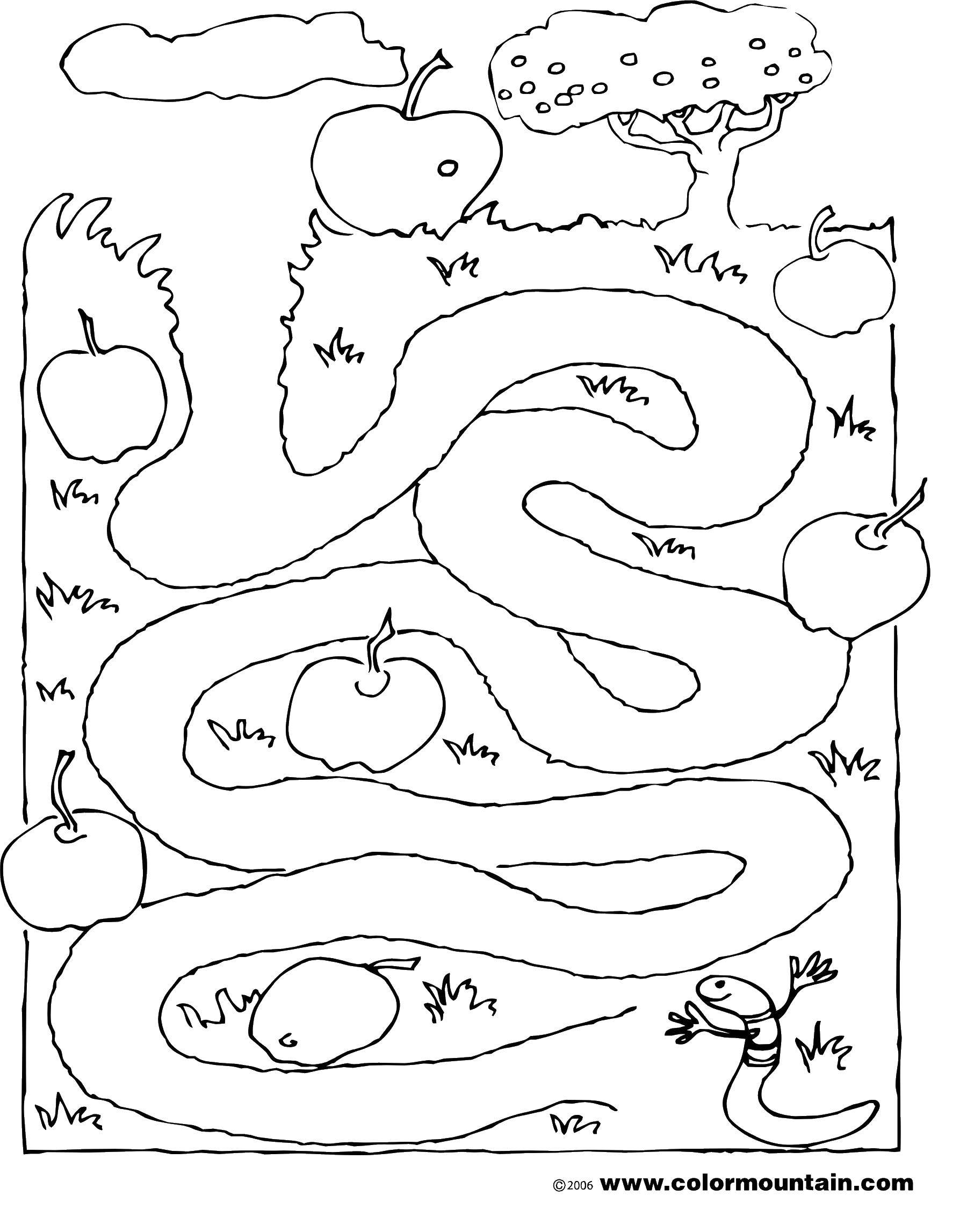 Coloring Help the worm. Category Mazes. Tags:  Maze, logic.