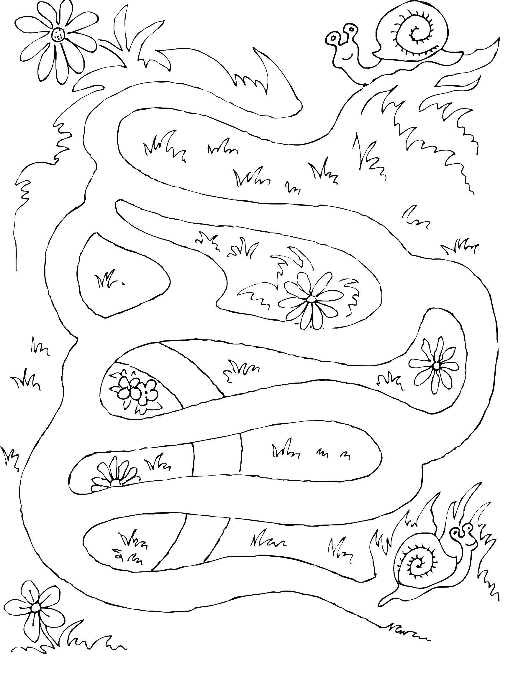 Coloring Help the little snails. Category Mazes. Tags:  Maze, logic.