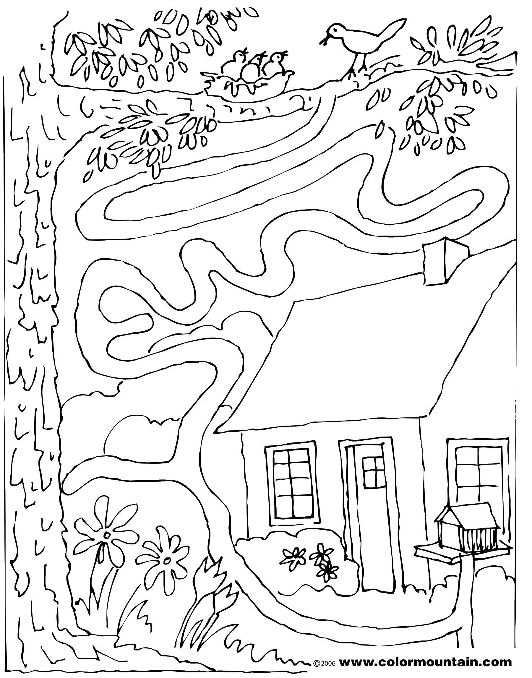 Coloring Get through the labyrinth. Category Mazes. Tags:  Maze, logic.
