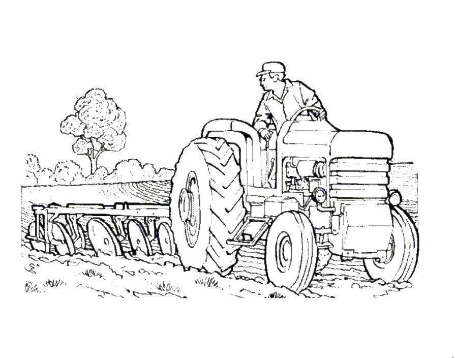 Название: Раскраска Тракторист на поле. Категория: машины. Теги: машины, трактор, тракторист.