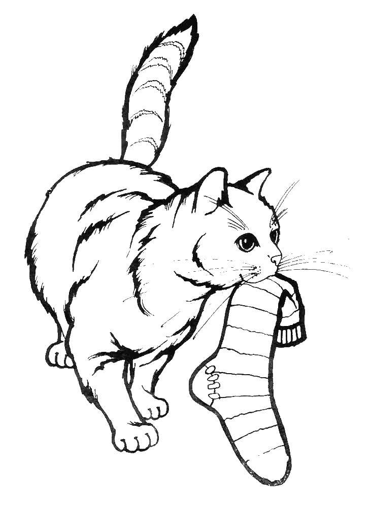 Название: Раскраска Кошка с носком. Категория: Кошка. Теги: кошка. носок.