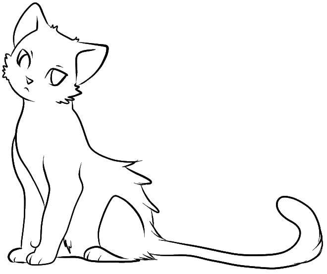 Coloring Cat. Category Animals. Tags:  animals, kitten, cat.