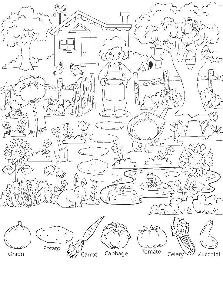 Coloring Garden with vegetables and animals. Category vegetable garden. Tags:  vegetable garden, vegetables, animals.
