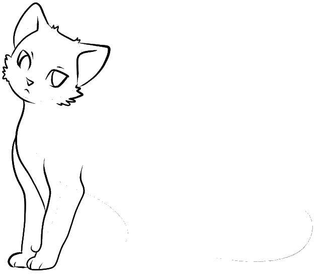 Coloring Draw cat anime. Category anime cats. Tags:  anime, draw, cat.