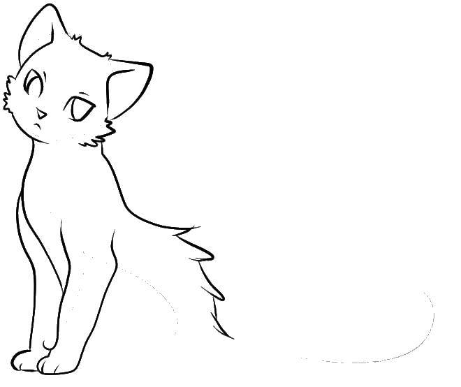 Coloring Draw cat anime. Category anime cats. Tags:  anime, draw, cat.