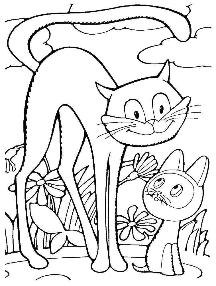Розмальовки  Кошеня по імені гав. Завантажити розмальовку кошеня гав, кішка, мультик.  Роздрукувати ,кошеня гав,