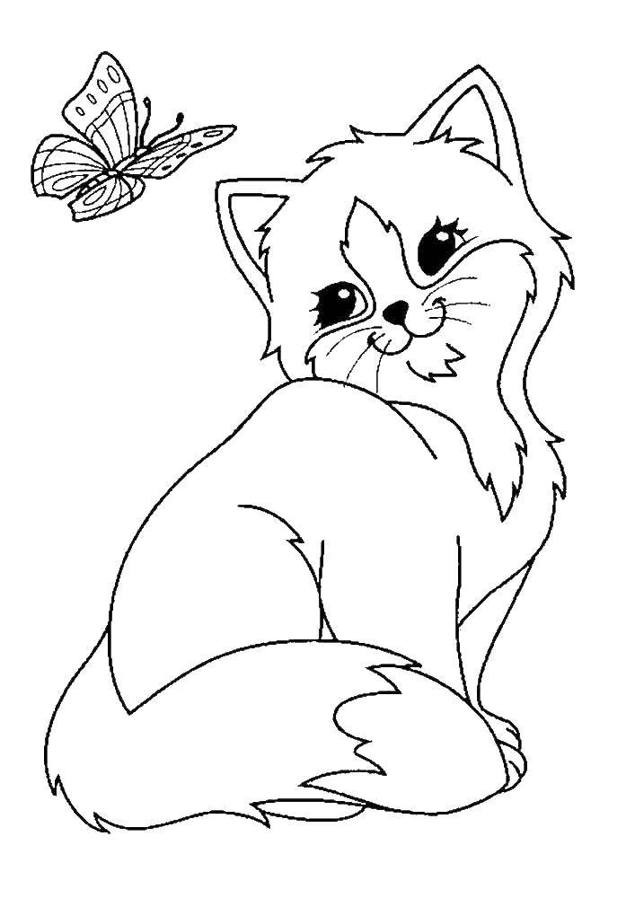 Название: Раскраска Кошечка смотрит на бабочку. Категория: Кошка. Теги: кошка, кот.
