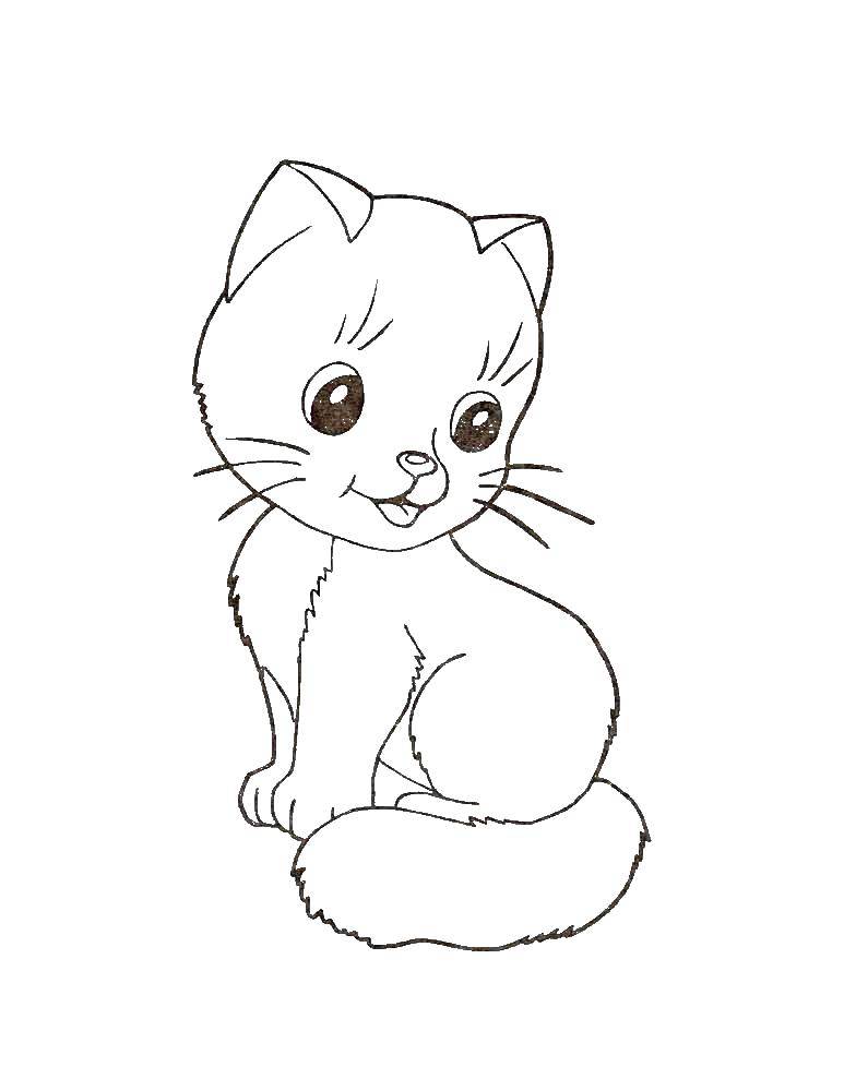 Coloring Kitty. Category The cat. Tags:  cat, kittens.