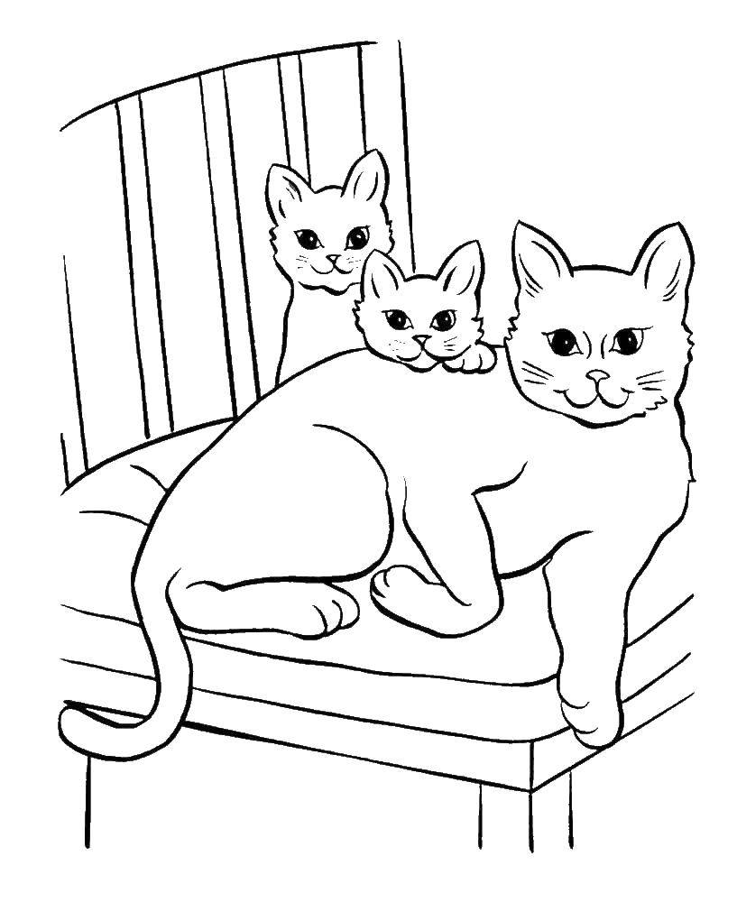 Название: Раскраска Кошка с котятами. Категория: Кошка. Теги: кошка, котята.
