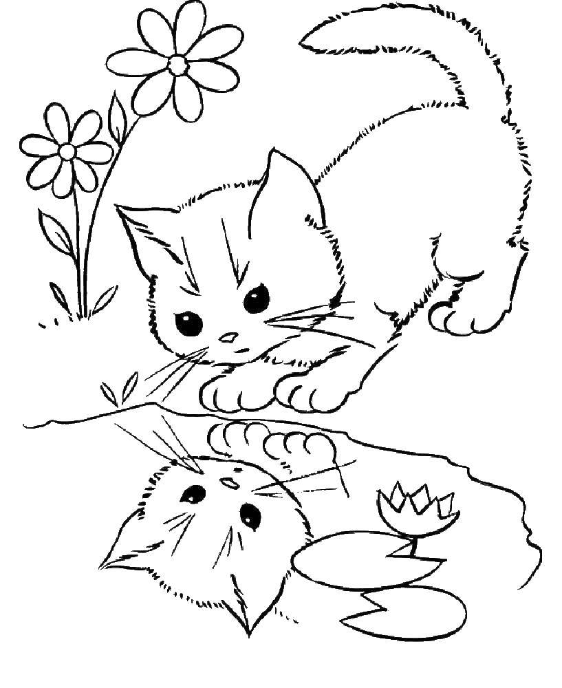 Название: Раскраска Кошка смотрит в лужу. Категория: аниме кошки. Теги: кошка, котята.